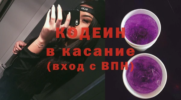 шишки Алексин