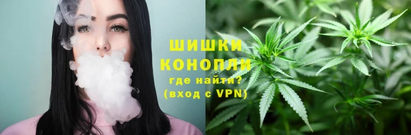 шишки Алексеевка