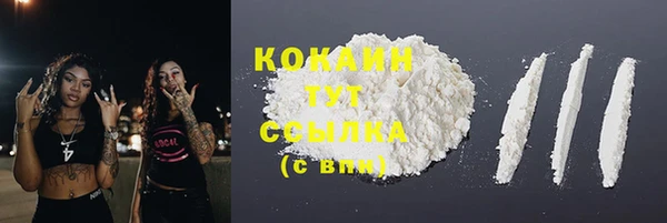 шишки Алексин