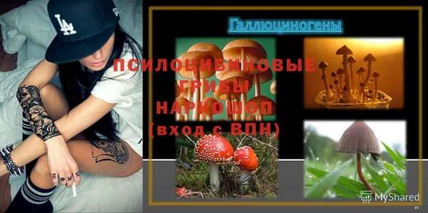 Альфа ПВП Абдулино